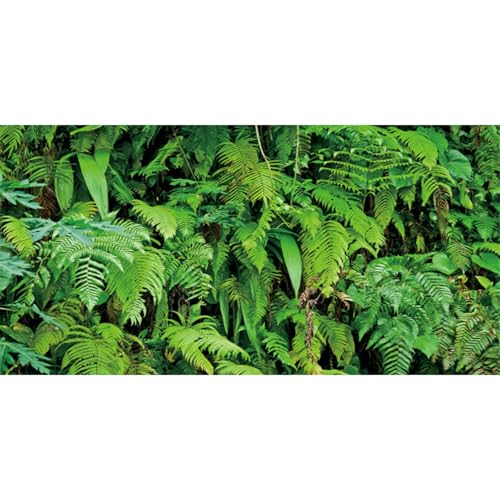 AWERT 24x12 inches Tropical Terrarium Background Tropical Plants Leaves Aquarium Background Rainforest Reptile Habitat Background Vinyl - size: 24x12in/60x30cm