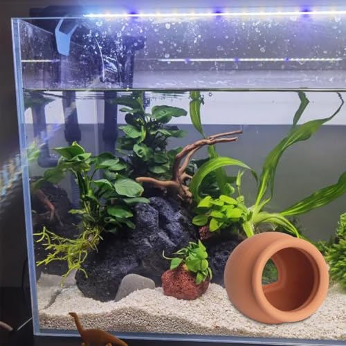 Ceramic Aquarium Decor, Betta Fish Hideout Cave, Aquarium Ornament Jar, Terracotta Pot Shrimp Habitat, Fish Breeding Shelter, Beta Fish Tank Accessory to Play Rest Hiding (Small)