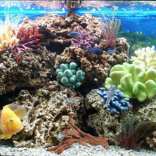 POPETPOP Natural Driftwood for Aquarium Decor - 9.8×5.9" Unique Wood Branch Fish Tank Decorations & Reptile Tank Accessories, Drift Wood Log for Leopard Gecko Terrarium Accessories