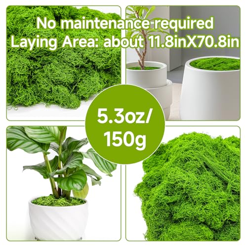Fake Green Moss for Potted Plants Indoor, 5.3oz Artificial Moss for Crafts, Faux Decor for Fairy Garden, DIY Decorative, Model Making, Walls, Glass Containers, Home - color: Light Green 5.3oz