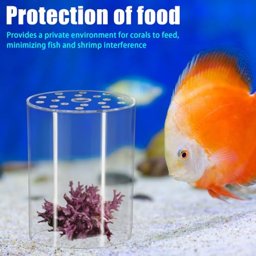 DONGKER Coral Feeder Cover, Transparent Acrylic Coral Breeding Protection Cover Avoid Food Floating Around for Aquarium Fish Tank(80mm,100mm,120mm) - size: CFC-120