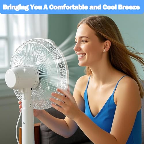 XANGNIER Fan Cleaning Brush Tools Set,6 Pcs Fan Cleaner for Stand up Fan/Desk/Window Exhaust/Box/Oscillating/Standing/Floor/Clip on/Wall/Table/Wall Mount/Pedesta Fan,Bendable Cobweb Duster Remover - color: Multicolor