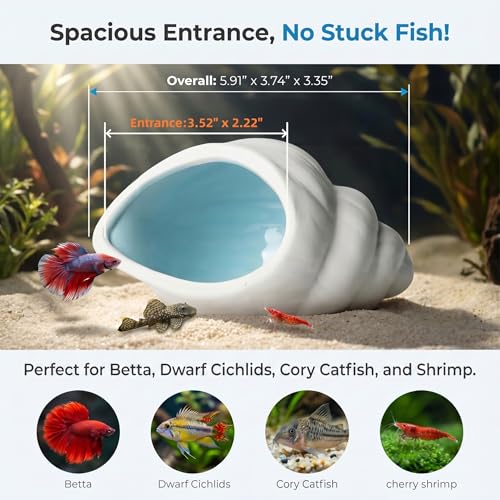 Ceramic Aquarium Cave for Betta Fish Tank Decor, White Conch Shell Hideout, Smooth Glaze Fish Tank Accessories & Decorations for Betta Fish, Shrimp, Pleco, Dwarf Cichlid, 5.91 x 3.74 x 3.5in - color: Conch White