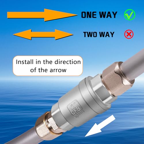 1 inch Spring Check Valve, 304 Stainless Steel CF8 Non Return One Way Horizontal Check Valve, Vertical Inline Water Check Valve for Well, Pump, Tank, Backflow Prevention, WOG 1000 - size: 1'' NPT