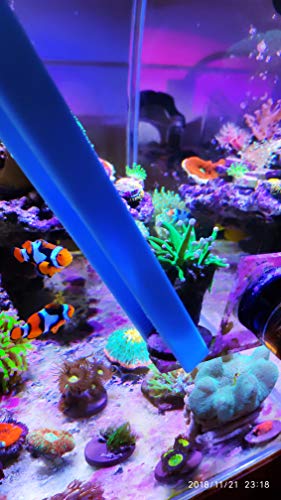 Aquarium Choice Coral Feeder Syringe - 11.8 Inch Reef Tweezers, Never Rusts, Fish Excreta Cleaner