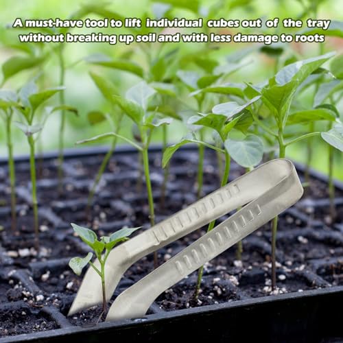 1PCS Seedling Transplant Tongs Stainless Steel Seedling Starters Remove Tongs Seedling Transplanting Tool Seedling Easy Transplanter with Anti-Slip Grasp Tips to Reduce Damage to Roots