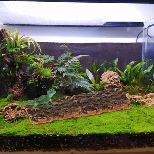 SOIMISS 5 Pcs Reptile Cork Bark Background for Terrarium Natural Tree Bark Hideout and Climbing Wall Vivarium Decor for Gecko Bearded Dragon Turtle and Lizard Tanks