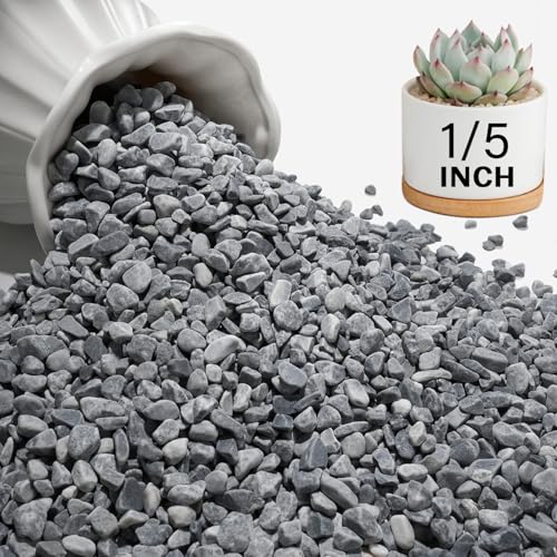 NUPICK 6 lbs Pebbles for Indoor Plants, 1/5 Inch Pea Gravel for Fish Tank, Decorative Rocks for Succulent, Natural River Stones for Vases, Cactus, Landscaping, Bird Bath, Aquarium, Grey - color: Grey, size: 6 lb