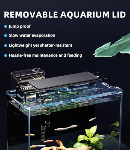 3 Gallon Fish Tank Aquarium Kit with Filter, LED Light with Timer, Siphon Vacuum Cleaner, Lid, Self-Cleaning Glass Rimless Betta Tank - size: 3 Gallon without Heater