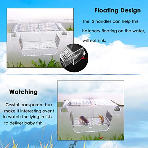 Fish Breeder Box Fish Hatchery Floating Fish Breeding Box with Removable Grating Perfect Fish Tank Divider for Agreesive Injured Pregnant Fishes - size: L