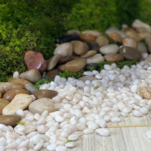FANTIAN 10 lbs White Rocks for Landscaping, 1-2 Inch Small Pebbles for Indoor Plants, Decorative Polished River Stones for Potted, Vase and Outdoor Garden - color: White, size: 10 lbs, 1-2 Inch