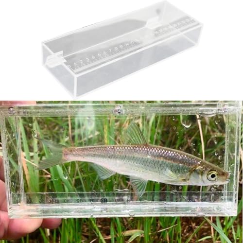 Fishing Photo Tank Fish Isolation Box Acrylic Aquarium Transparent Hatching Incubator Case, 25x4.4x9cm - color: 25x4.4x9cm