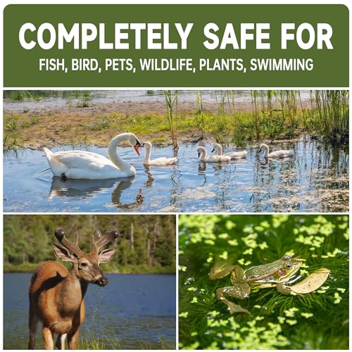 LMJP Muck Reducer - 5LB Natural Sludge Solution Tablets for Ponds & Lakes, Away Muck & Odor Control, Safe for Aquatic Life, Wildlife & Recreation, Treats Up to 30,000 Sq Ft - size: 5 Pounds