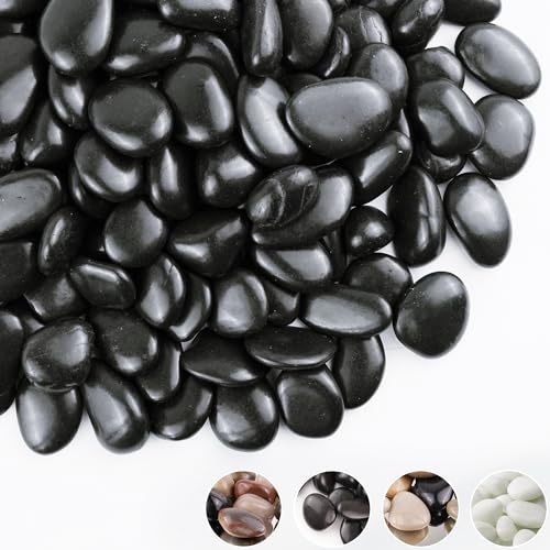 5lbs Black Pebbles for Indoor Plants, 1-2Inch Natural River Rocks for Aquarium, High Polished Decorative Stones for Vase Filler Fish Tank Landscaping Garden - color: Black, size: 5 Pounds