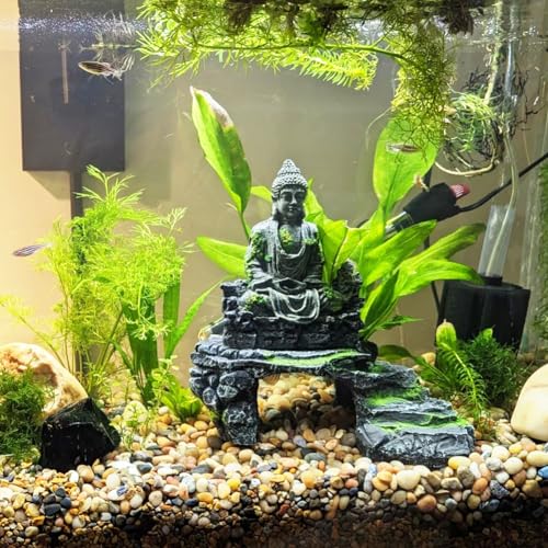 Rocks for Plants 5 Lbs, 0.8-1.5 Inch High Polished Pebbels, Decorative Stones for Garden Landscaping, Smooth Gravel Filler for Outdoor Plants, Succulents, Fish Tank and Vases - color: colored