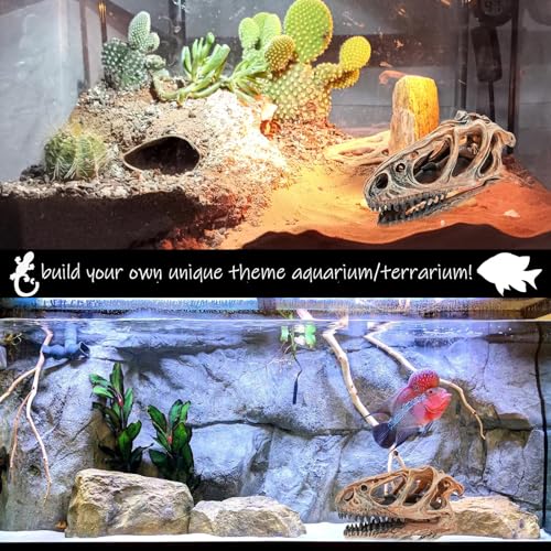 Fish Hideout Aquarium Décor Decorations Dinosaur Skull Fish Tank Decor Cave Dinosaur Skull Betta Animal Halloween Large Tarantula Reptile Bones Snake for Terrarium Ornament - color: Tyrannosaurus