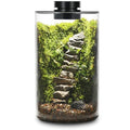 Desktop Glass Plant Terrarium with Grow Light (H:9.8" D:5.9"), for Succulent, Moss, Miniature Gardening Landscape, Betta Fish Tank, Office Home Decoration, Plant Lovers Gifts
