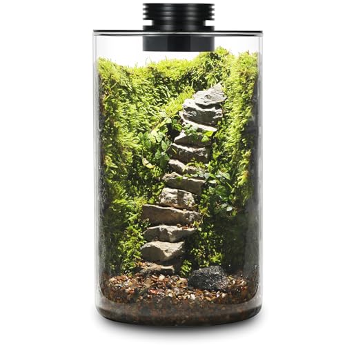 Desktop Glass Plant Terrarium with Grow Light (H:9.8" D:5.9"), for Succulent, Moss, Miniature Gardening Landscape, Betta Fish Tank, Office Home Decoration, Plant Lovers Gifts