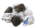 PelletPal Premium Barn Owl Pellets, Large (Pack of 10) - Free Bone ID Chart, 10 Forceps, 10 Paddle Picks, and Teaching Guide Included!