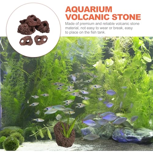 DOITOOL Lava Rock Aquarium 6pcs Volcanic Rocks Small Dark Brown Volcanic Pumice Stones, Aquarium Stones Aquascaping for Fish Tank Decoration, 3.93x2.75x1.57inch
