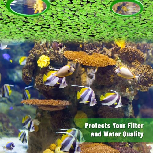 Aquarium Floating Plant Corral 5/10Pcs Floating Plant Holder Fish Feeding Rings for Fishtanks 80-200mm Pet Supplies - size: Green-B