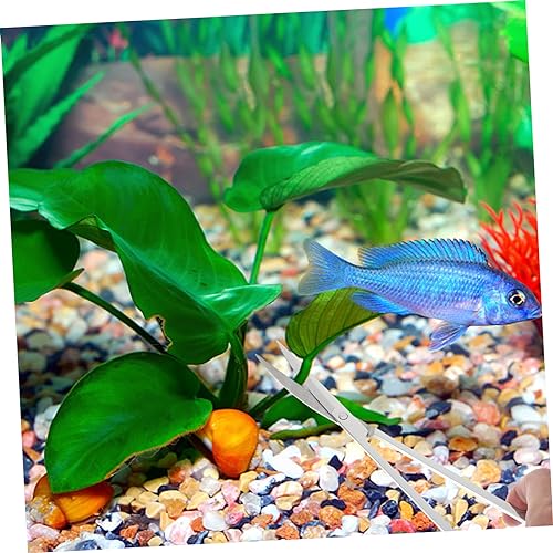 Garneck 1set Aquarium Scissor Multi-Function Aquarium Shovel Scraper for Easy Maintenance of Freshwater and Tanks for Water Plants and Gravel Cleaning