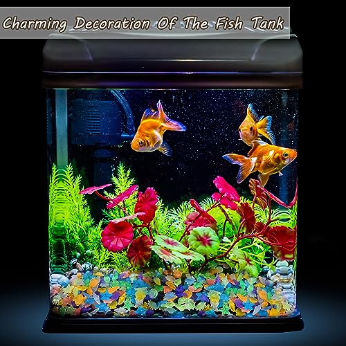 Kaiyuan Dynasty 100pc Sea Glow in The Dark Rocks Aquarium Glow Stones Rocks for Fish Tank Glow Pebbles for Fairy Garden,Yard,Bonsai,DIY Crafts,Color (0.8-1.2") - color: Multi-colored, size: 100