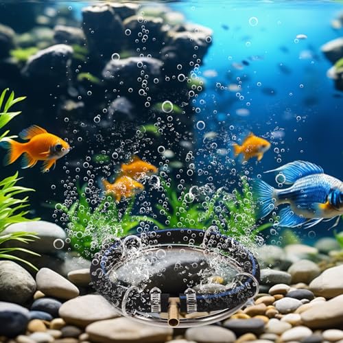 Gadpiparty Stainless Steel Pond Air Diffuser Ring 15cm Round Bubble Stone Oxygen Bubbler for Aquarium Fish Tank Indoor Outdoor Fish Pond