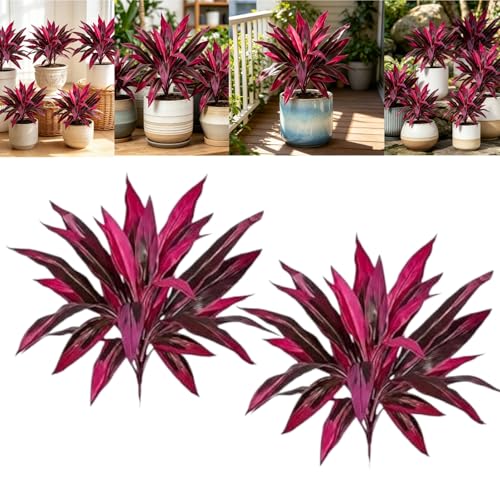 2PCS Artificial Boston Fern & Dragon Tree Plants, Large Realistic Faux Plants for Indoor & Outdoor Decor, Lifelike Greenery for Patio, Garden, Balcony & Home Decoration(2pcs) - color: 2pcs