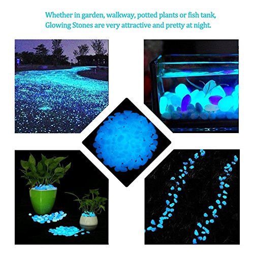 4.8Lbs 1100Pcs Glow in The Dark Stones Pebbles Blue Glow Rocks - color: Blue, size: 1100
