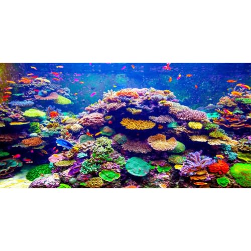AWERT Undersea Theme Aquarium Background 48x20 inches Vinyl Colorful Coral Tropical Fish Underwater World Fish Tank Background - size: 48x20in/120x50cm