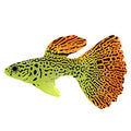 Artificial Faux Fake Gold Fish Glowing Effect Aquarium Fish Tank Decor Floating Ornament CNice and Deft