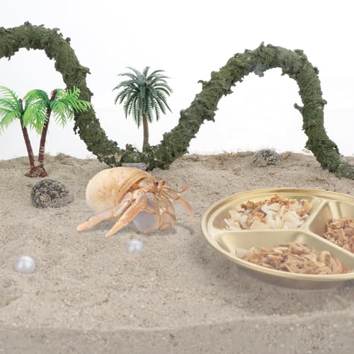 2 Pack Stainless Steel Small Reptiles Food Water Bowls, Shallow Feeding Dish for Hermit Crabs, Lizards, Snakes, Geckos, Turtles, Spiders
