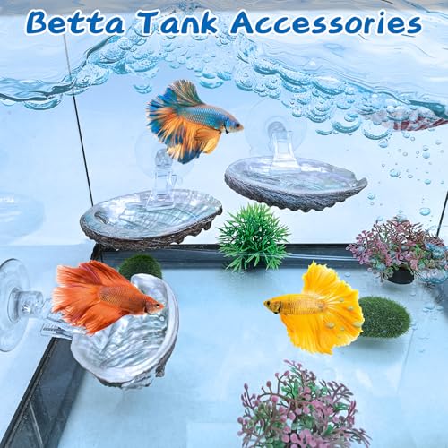 VCEPJH Betta Hammock with Suction Cups Betta Resting Spot 4 Pcs Fish Tank Accessories Decorations Shell Bed Toys for Aquarium Small Fish Natural Spawning Grounds Breeding - color: 4 Pcs Oysters