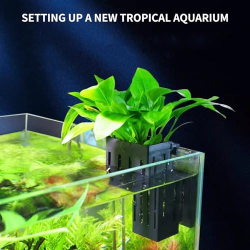 2 PCS Aquarium Plant Holder Top Hanging Fish Tank Plant Pot Aquarium Planter Cups for Water Feature Decoration - color: Rectangular - Black