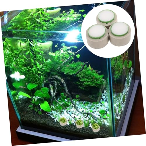 Toddmomy 9pcs Floating Ceramic Rings for Fish Tank Decoration Stabilizes Aquatic Plants User Friendly Planting Cups for Easy Maintenance