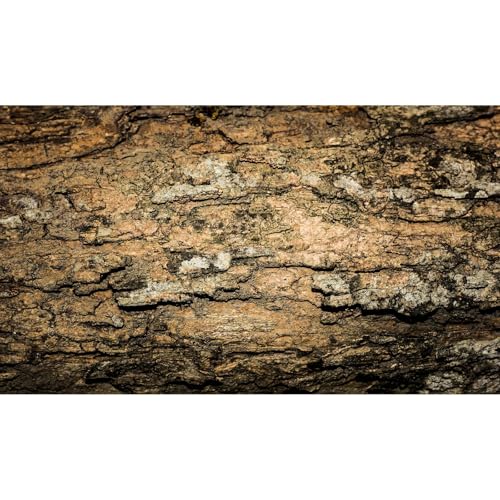 Tree Bark Texture Aquarium Background Old Wood Texture Reptile Tank Background Aged Rough Natural Wooden Bark Terrarium Background Wooden Textured Aquarium Fish Tank Background Poster Decors 24x16in - color: Reddish-Brown, size: 24(W)x16(H)inches/ 60(W)*4
