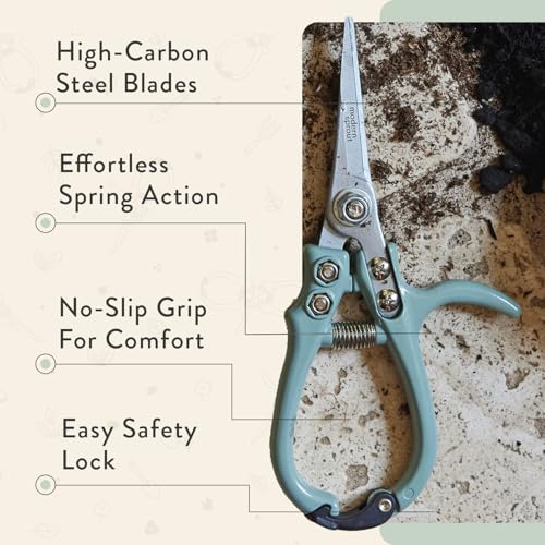 Modern Sprout Hand Pruners & Shears Set w/blister - Lightweight Gardening Tools - Easy Lock - Sharp Carbon Steel Blades - Rust Resistant Scissors for Herbs & Flowers- Gift for Father's Day - Sage - color: Sage
