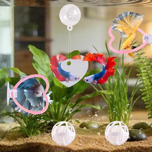 Betta Fish Toys, 2 PCS Heart Fish Exercise Ring and Nitrifying Balls Set, Heart Betta Mirror Toy Set, Feeding Ring with Suction Cup, Fishing Tank Accessories for Gifts (Pink) - color: Pink Heart