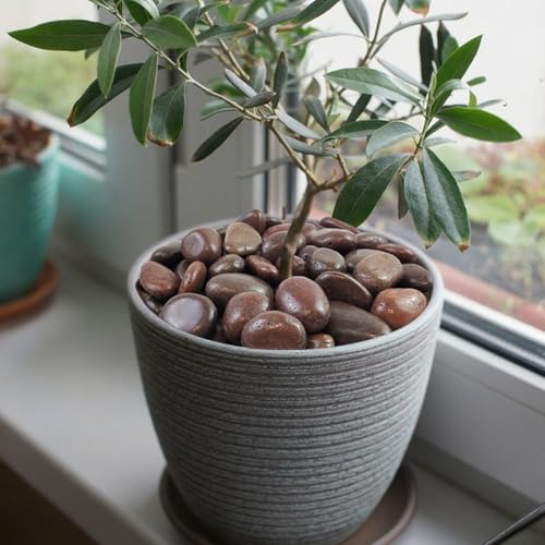 FANTIAN 10 lbs Red River Rocks, 2-3 Inch Polished Pebbles for Indoor Plants, Decorative Rocks Stones for Landscaping, Vases, Aquariums, Fountains, Pathways, Backyard and Garden - color: Red, size: 10 lbs, 2-3 Inch
