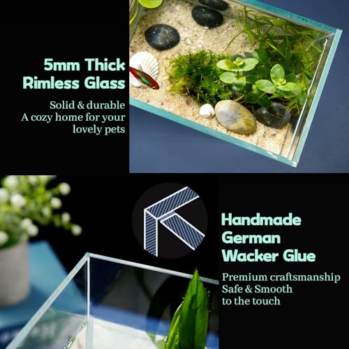 LAQUAL 1 Gallon Fish Tank Starter Kit with Fish Net, 1 Water Changer Siphons & 2 Cleaning Cloth, Crystal Clear Glass Fish Tank, Small Fish Tank/Aquarium for Betta & Goldfish, Nice Home Décor - color: 1 gal square