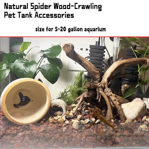 Hamiledyi 4PCS Driftwood for Aquarium 8-10in Natural Spider Wood Reptile Branches Fish Tank Log Ornament Aquarium Trunk Decoration - size: M:Spiderwood (8-10in 4PCS)