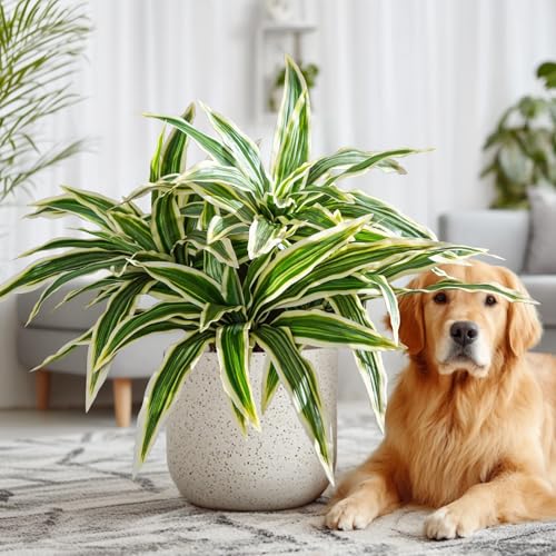 4 Pcs Artificial Greenery Stems Dracaena Faux Branches Artificial Plants Realistic Fake Dracaena Greenery Realistic Plants for Indoor Outdoor Porch Patio Home Office Living Room Decor (Yellow) - color: Yellow