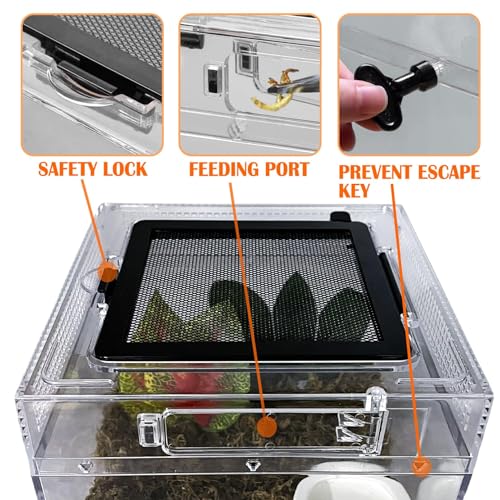 Reptile Terrarium, Jumping Spider Enclosure Starter Kit, Leopard Gecko Habitat Container, 8"x8"x6"Reptile Tank for Tarantula, Hermit Crab, Insect, Fish, Frog, Small Bearded Dragon, Lizard - size: 8"x8"x6"