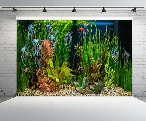 CHNYWORK 178x98 Inches Fish Tank Tapestry Wall Hanging Aquarium Underwater Grass Leaves Aquatic Plant River Stone Bed Lake Fish Background Living Room Bedroom Aesthetic College Dorm Wall Decor - size: 178''x98''