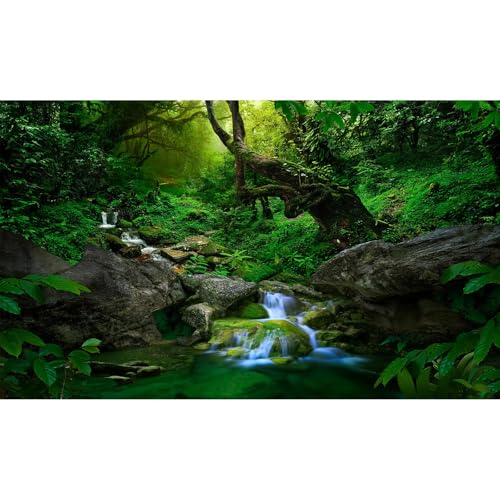 Jungle Forest Aquarium Background Rainforest Waterfall Fish Tank Background Stream Rock Glass Terrarium Backgrounds Foggy Forests Streams Meanders Green Plants Reptile Enclosure Backgrounds 24x12in - color: Dark Green, size: 24(W)x12(H)inches/ 60(W)*30cm(