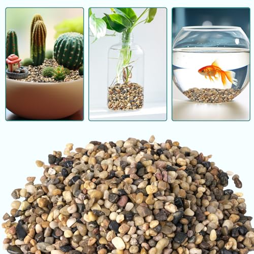 2.5 lbs Small Rocks for Plants, 1/5 Inch Gravel for Plants Drainage, Decorative Potting Pebbles for Indoor Plants, Vases, Bamboo, Succulent, Terrarium, Crafts, Cactus - color: Colored