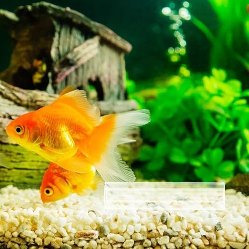 5-Hole Acrylic Shrimp Shelter Fish Hiding Cave Aquarium Landscaping Decor for Shrimp Breeding and Turtle Fish Tank Ornament