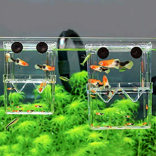 Senzeal Aquarium Fish Breeder Box Plastic Fish Isolation Breeding Box Hatching Incubator Box for Baby Fishes Shrimp Clownfish Guppy - size: Medium