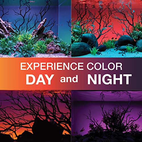 ColorCast Aquarium Background LED Light Kit with Frosted Background Film | Smartphone and Voice Control | 24/7 Timers | Alexa and Google Home | for Aquariums, Terrariums and Vivariums | 32"-48" - size: 32" | 32" to 48"